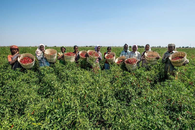 A group of Indian women farmers meeting