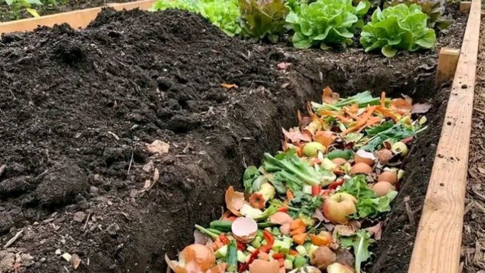 From Landfill to Livelihood: Why Organic Waste Composting Is a Smart Agribusiness Strategy