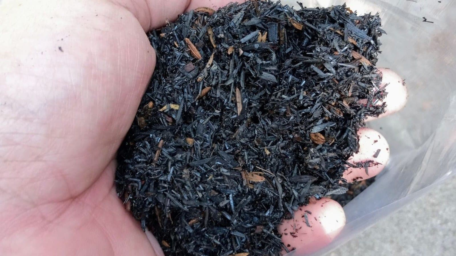 India Measures Its Soil Better Than Anyone — Then Ignores What It Finds