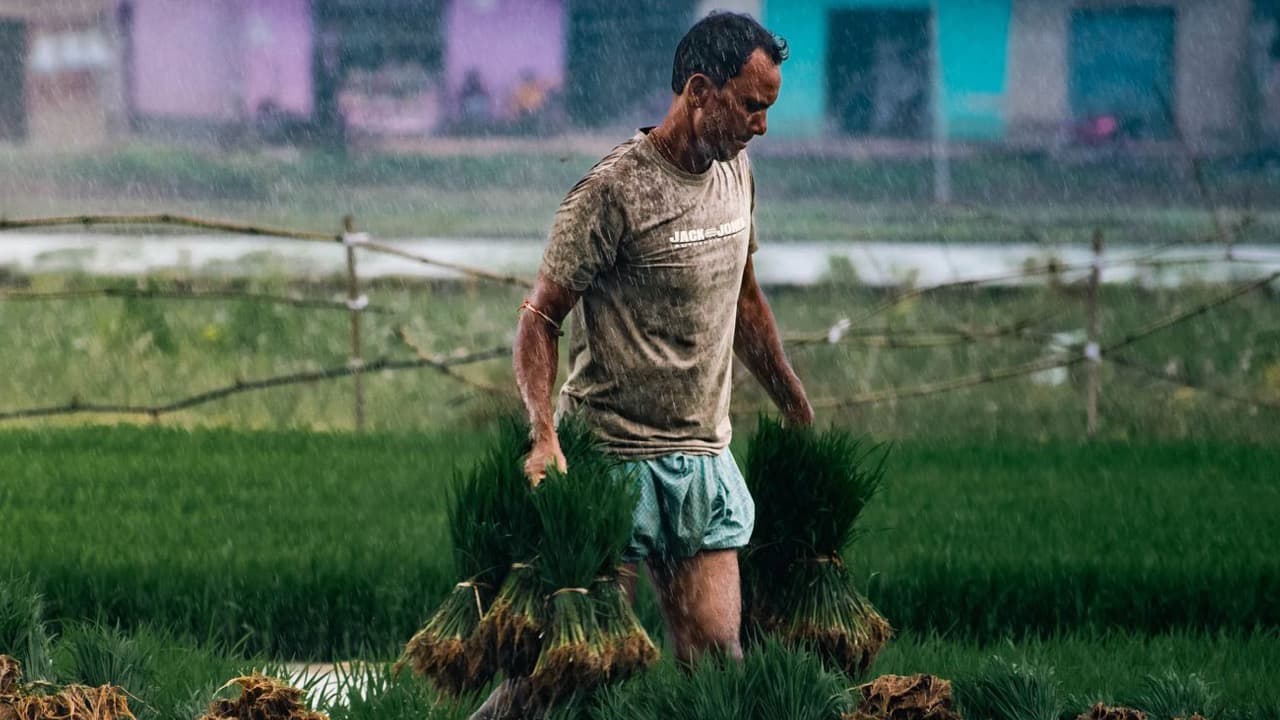 Bay of Bengal Depression to Drench East India, Rain Front May March to Delhi-Chandigarh Belt