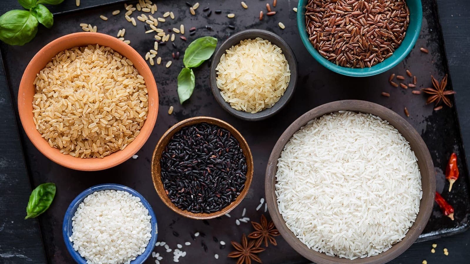 Beyond the Lab: Why India's New Rice Varieties Struggle to Reach the Field