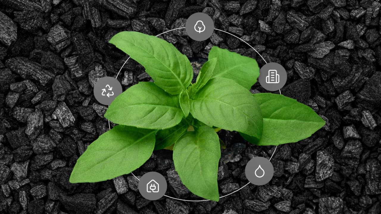 Why Biochar Often Fails in Its First Season on Indian Soils