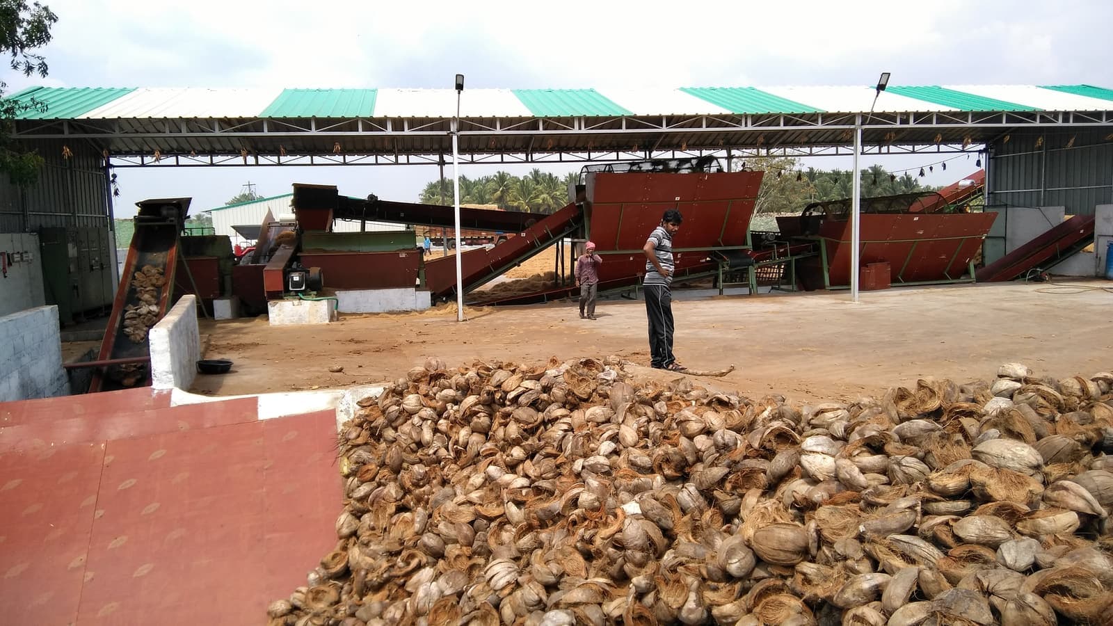 Cocopeat Suppliers in India: 7 Questions Every Importer Should Ask