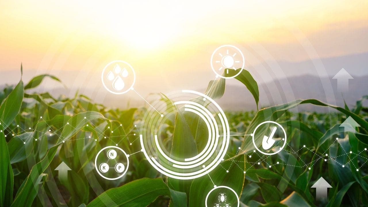 How AI Can Make Agriculture Smarter and More Farmer-Friendly