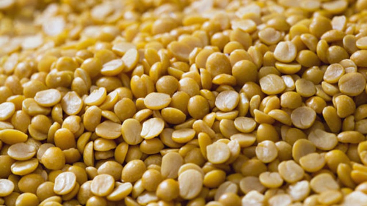 ICAR Cracks the Pigeonpea Code: India's First T2T Genome of Variety 'Asha' Decoded
