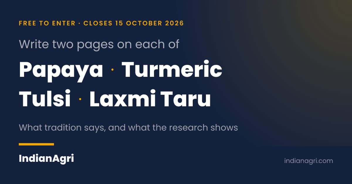 Free Competition on Papaya, Turmeric, Tulsi and Laxmi Taru Leaves — Entries Close 15 October
