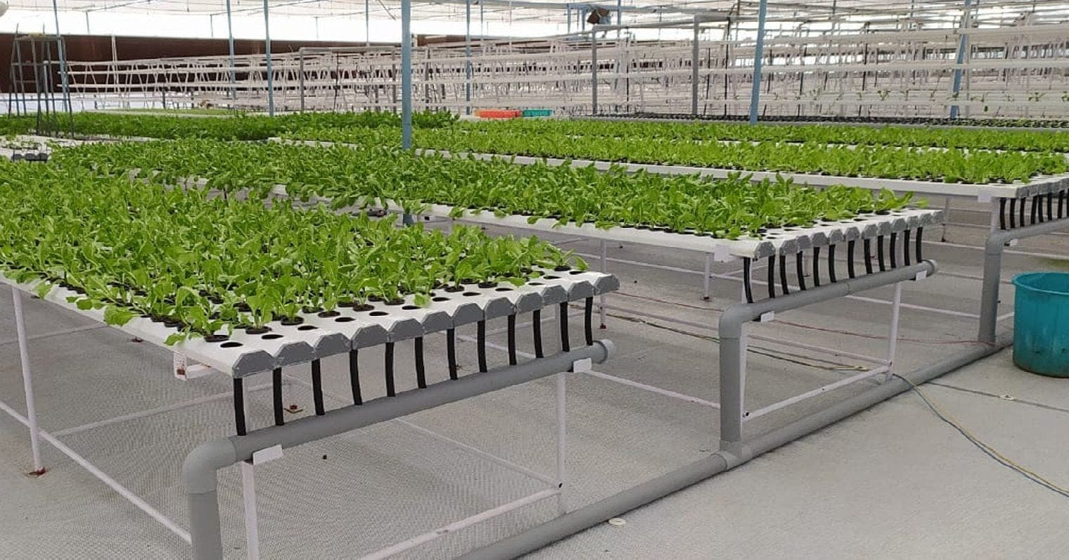 Yemineni: Fourteen Years Building Fertigation Controls for Indian Polyhouses